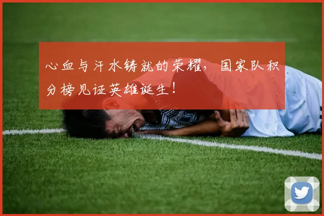 心血与汗水铸就的荣耀，国家队积分榜见证英雄诞生！