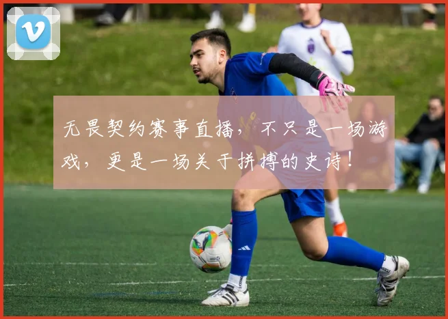 无畏契约赛事直播,不只是一场游戏,更是一场关于拼搏的史诗!