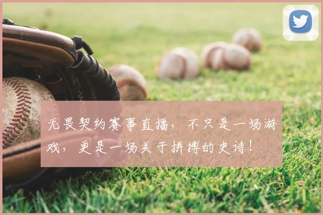 无畏契约赛事直播,不只是一场游戏,更是一场关于拼搏的史诗!